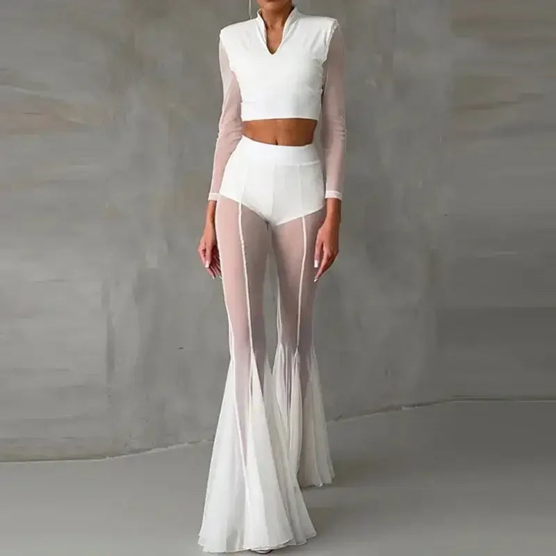 Elegant Mesh Pants - elegant pants