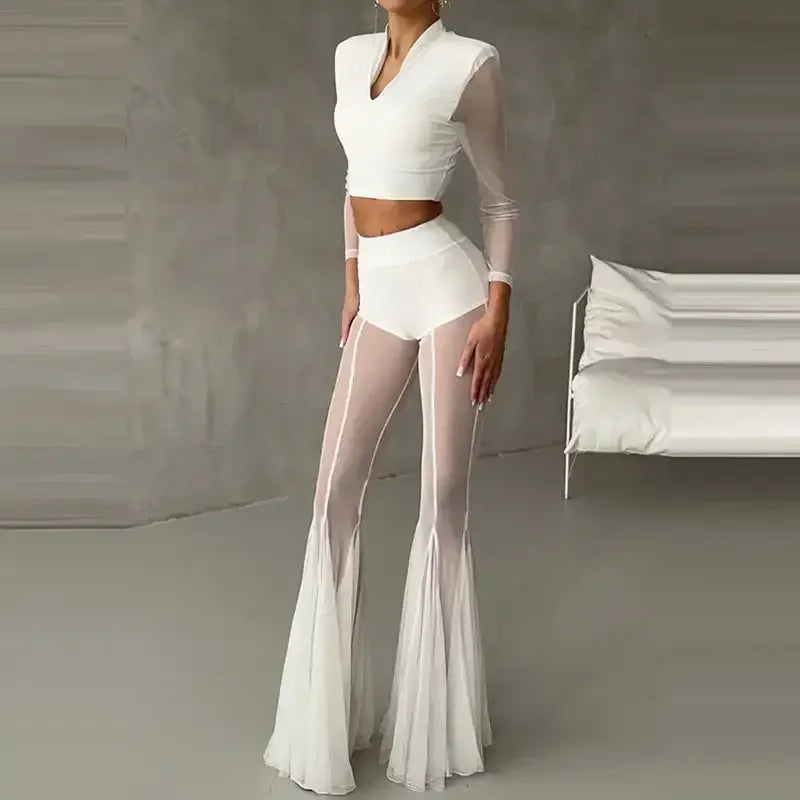 Elegant Mesh Pants - elegant pants