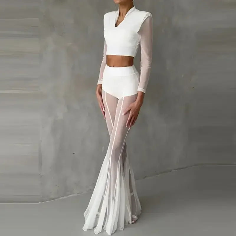 Elegant Mesh Pants - elegant pants