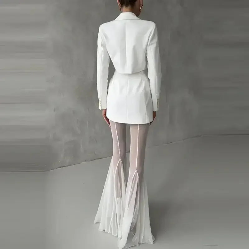 Elegant Mesh Pants - elegant pants