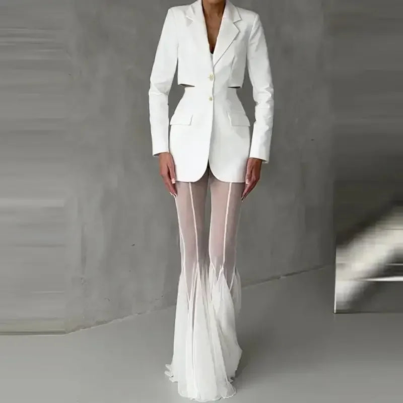 Elegant Mesh Pants - elegant pants