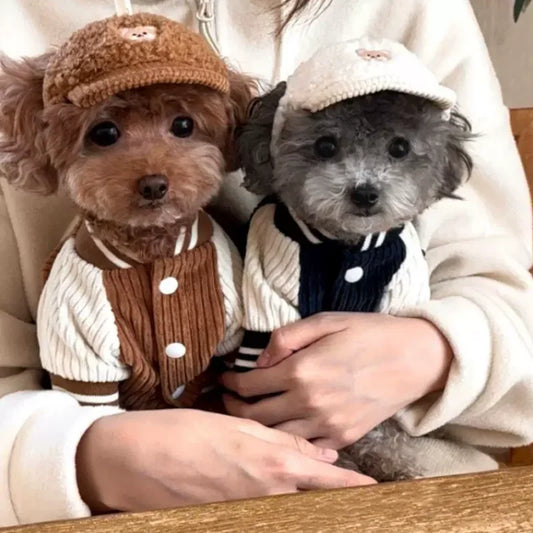 Winter Pet Clothes - Fashionsarah.com