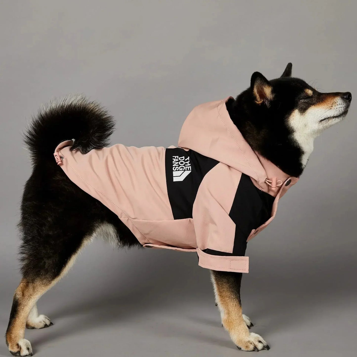 Dog Clothes Raincoat S-5XL - Fashionsarah.com