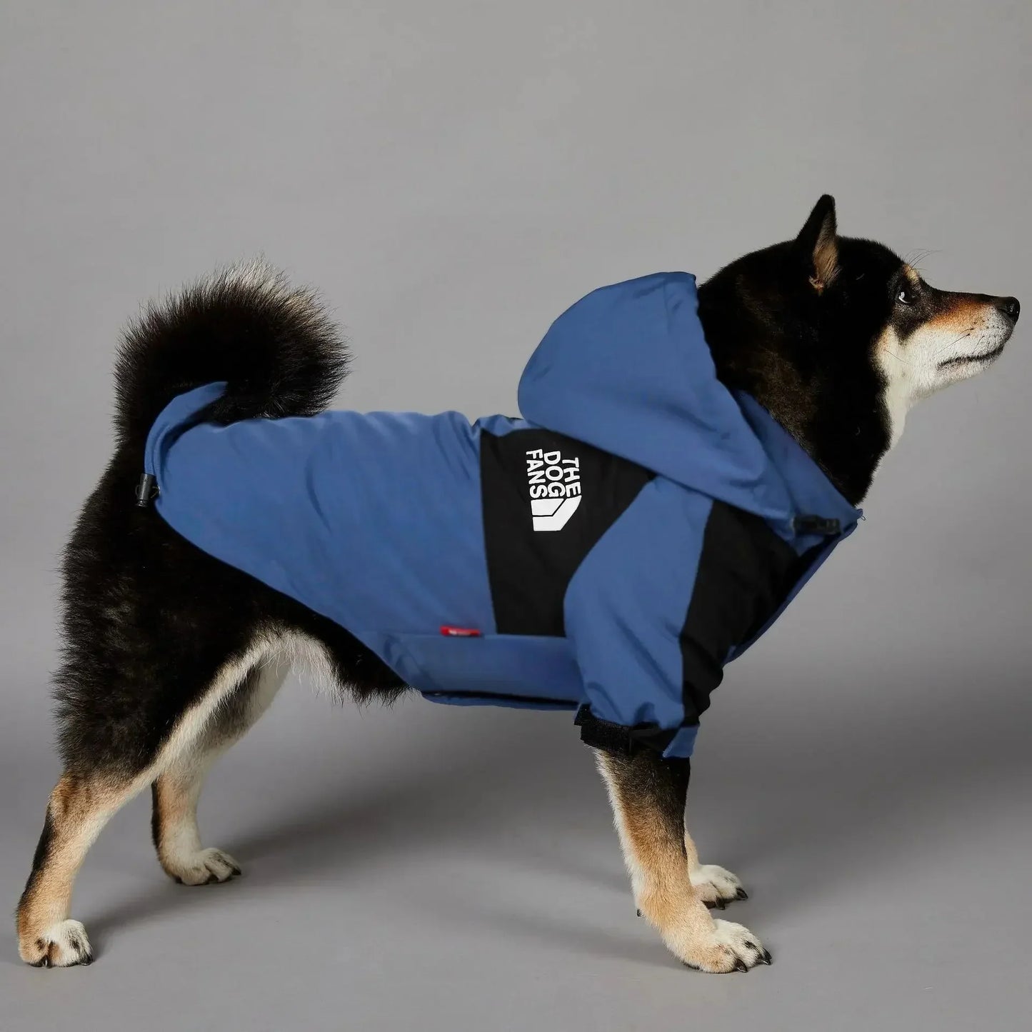 Dog Clothes Raincoat S-5XL - Fashionsarah.com