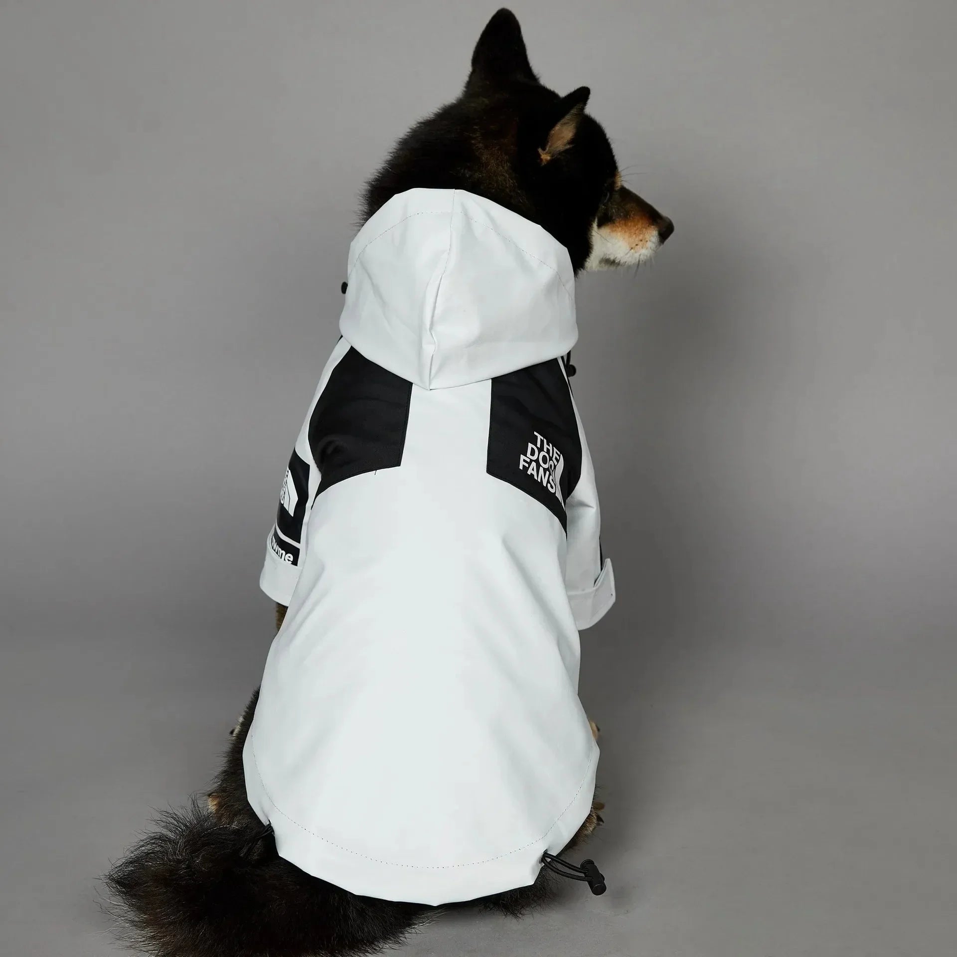 Dog Clothes Raincoat S-5XL - Fashionsarah.com