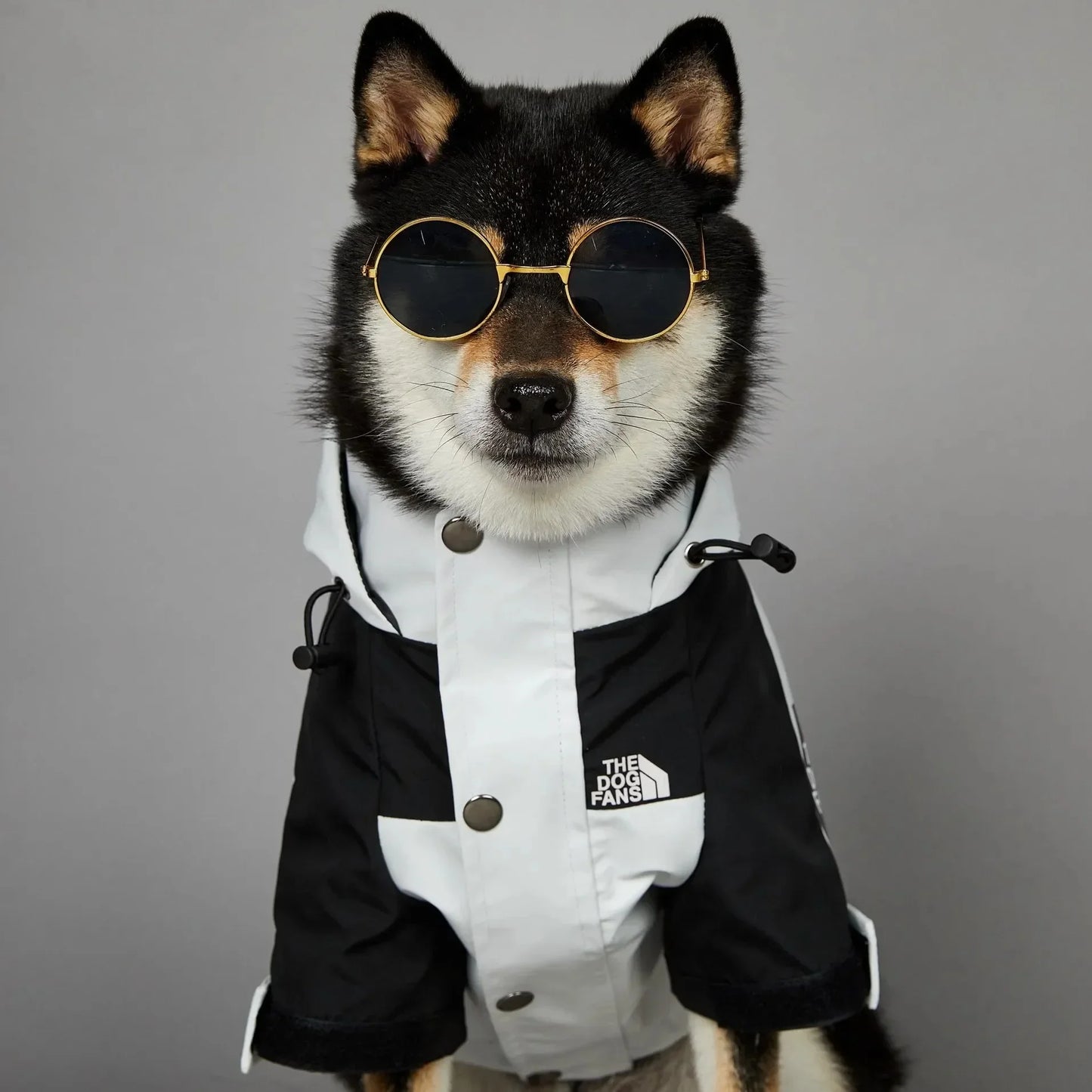 Dog Clothes Raincoat S-5XL - Fashionsarah.com