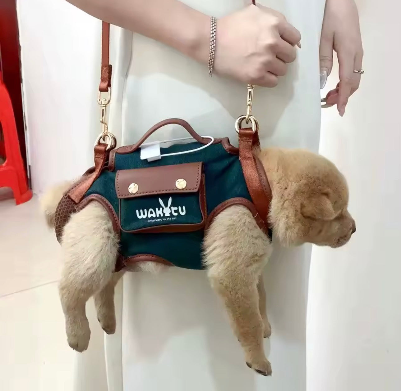 2 - 1 Dog bag out crossbody carryable