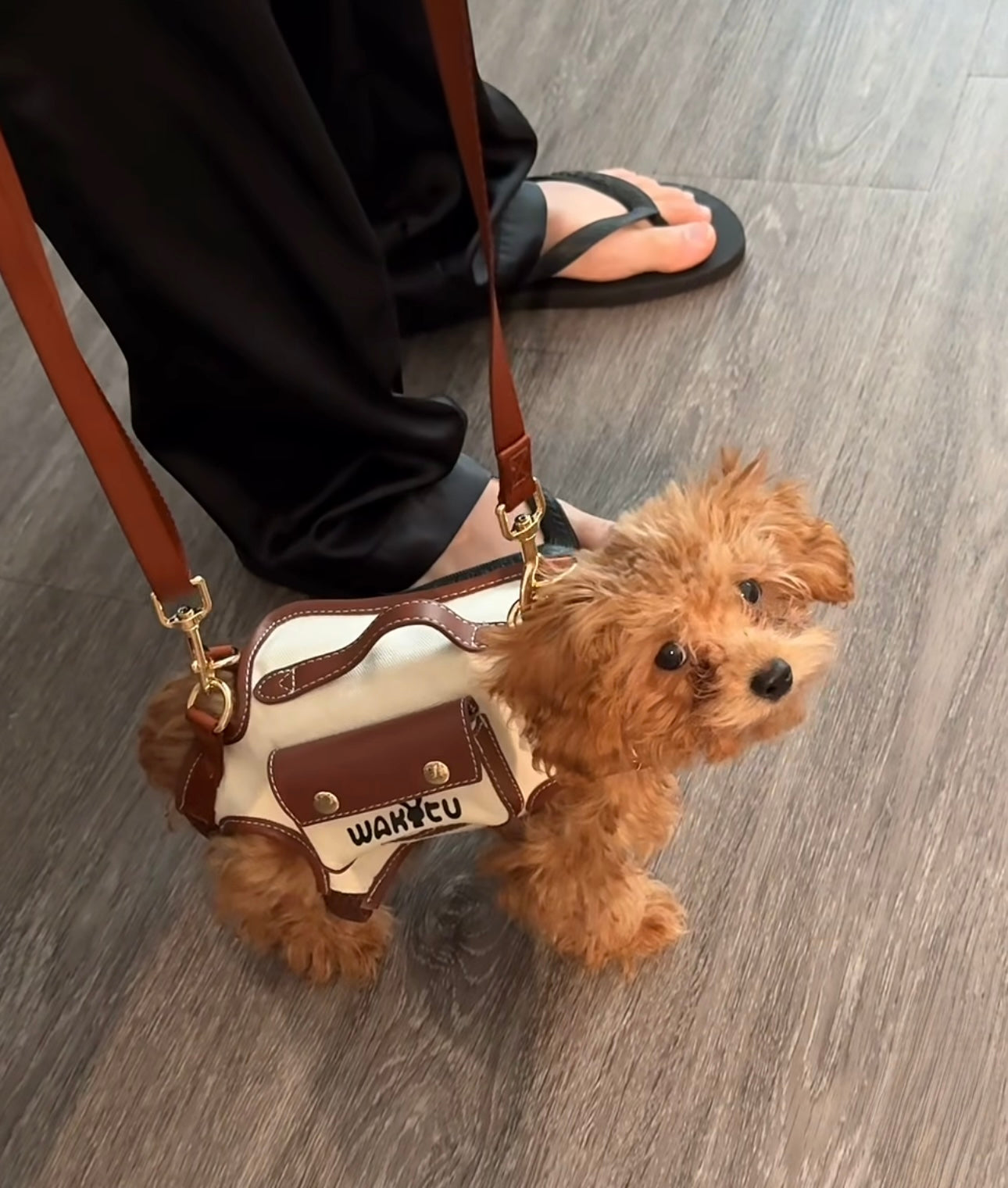 2 - 1 Dog bag out crossbody carryable