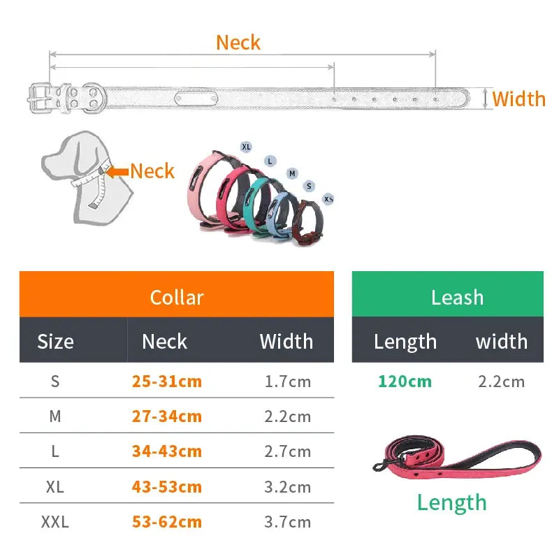 Personalized Pets Collar & Walking Leashes