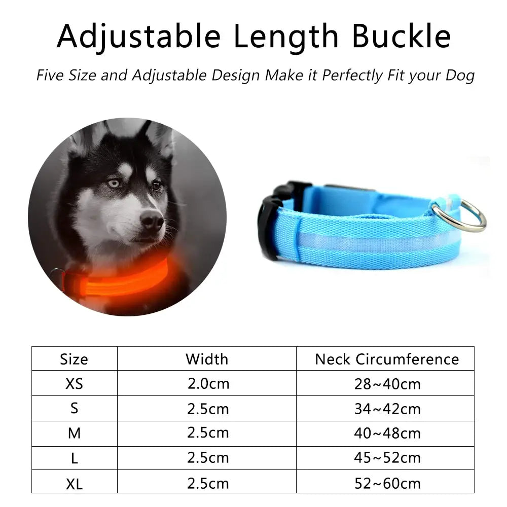 Luminous Safety Collars