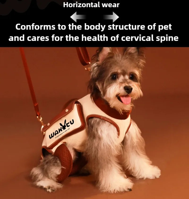 2 - 1 Walking Bag Pet Carrier