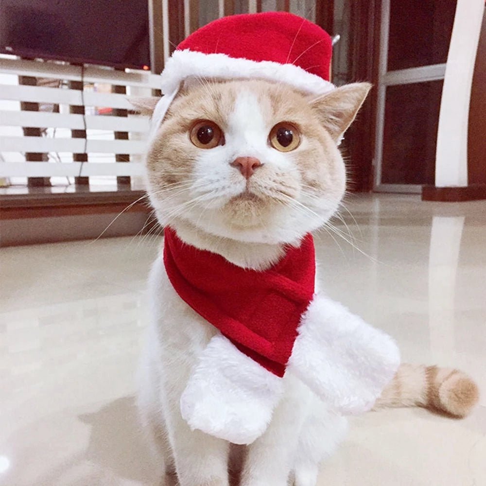 Fashionsarah.com Christmas Pets Accessories