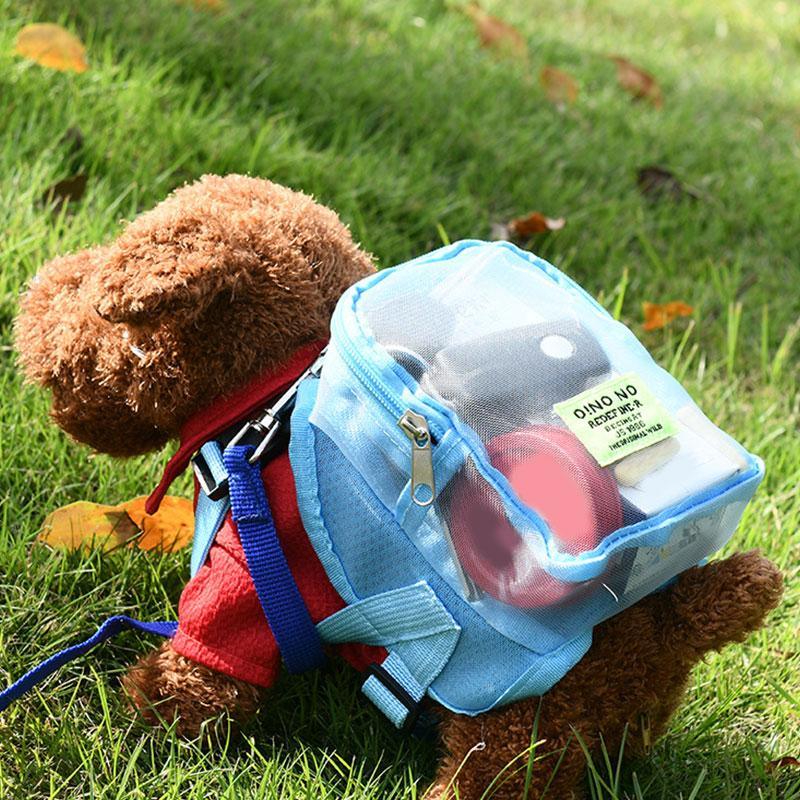 Pet cute Backpack Harness | Fashionsarah.com