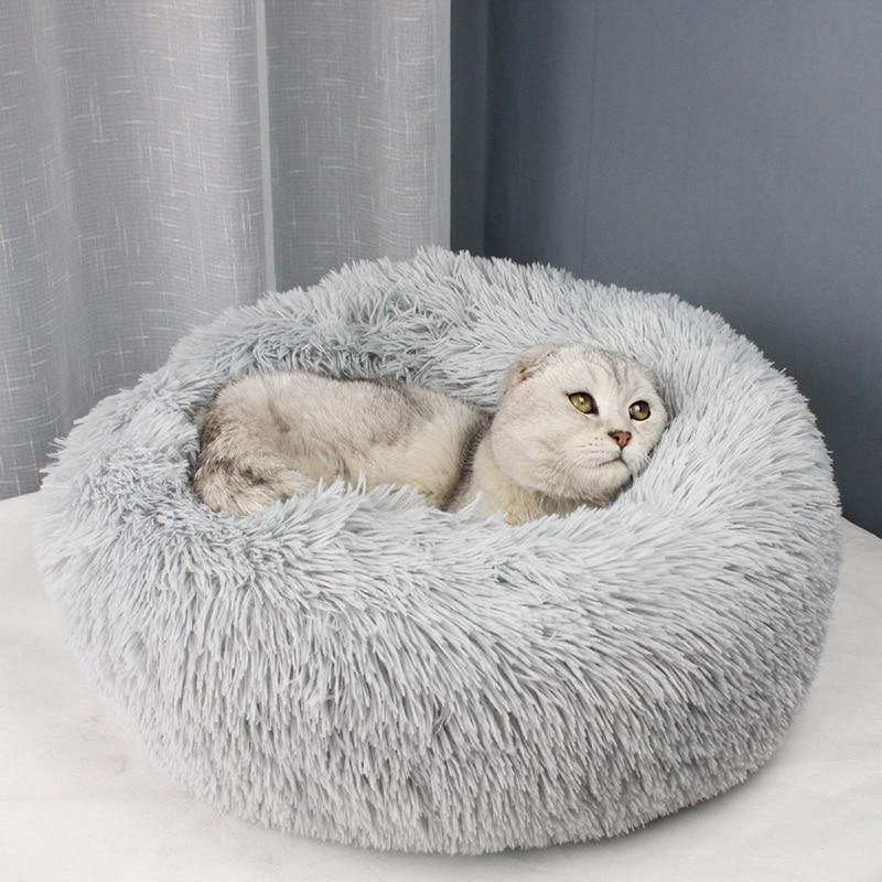 Soft Plush Beds | Fashionsarah.com