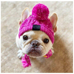 Winter Warm Dog Hats - Fashionsarah.com