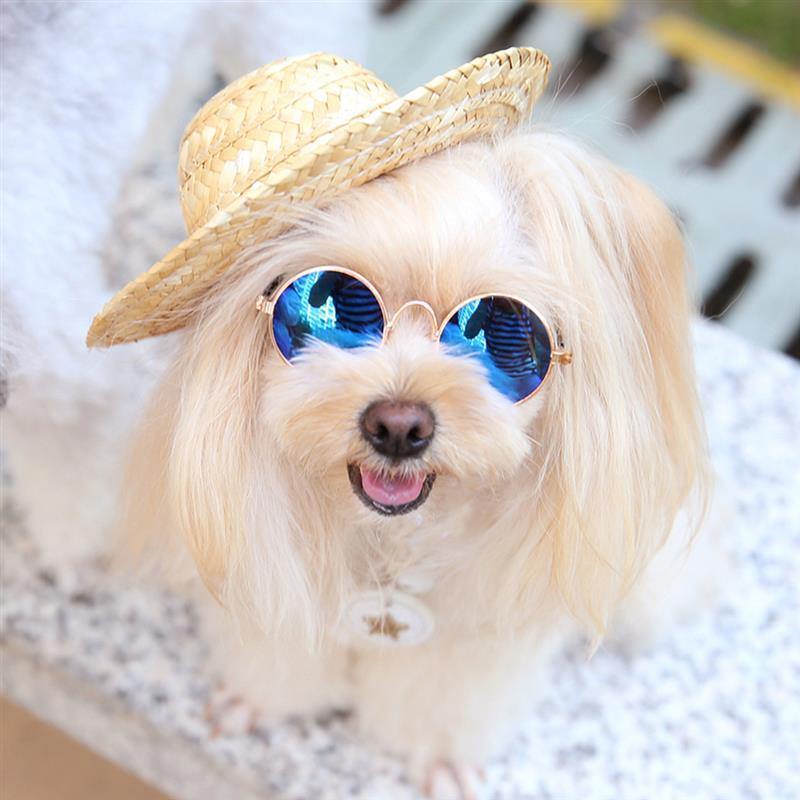 Pet Hat & Accessories | Fashionsarah.com