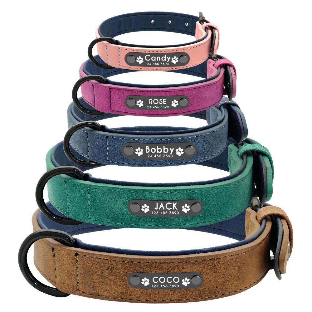 Personalized Pets Collar & Walking Leashes | Fashionsarah.com