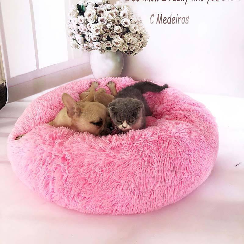 Soft Plush Beds | Fashionsarah.com