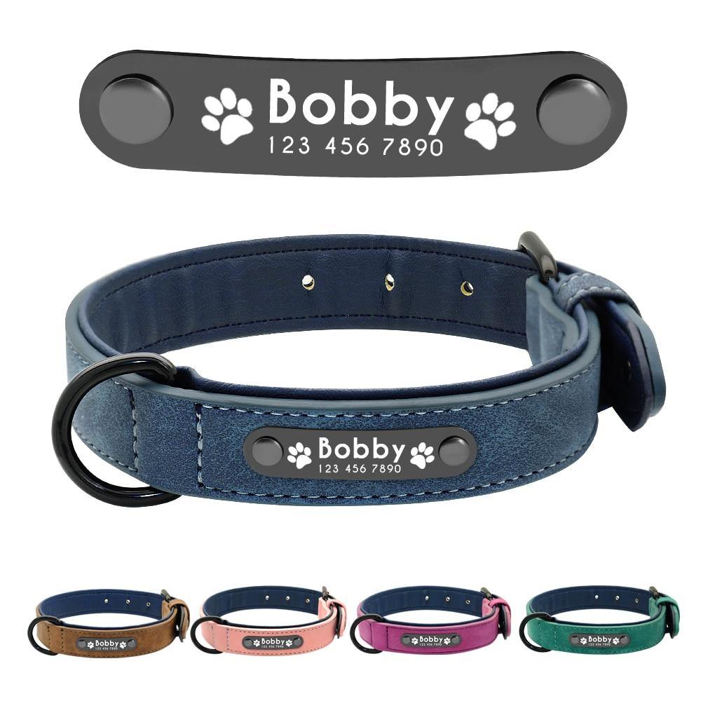 Personalized Pets Collar & Walking Leashes | Fashionsarah.com