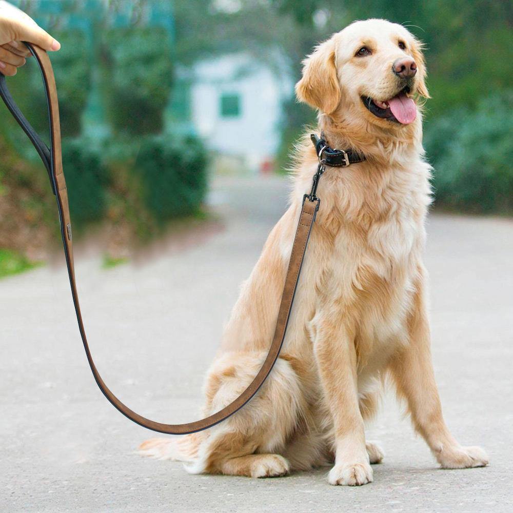 Personalized Pets Collar & Walking Leashes | Fashionsarah.com