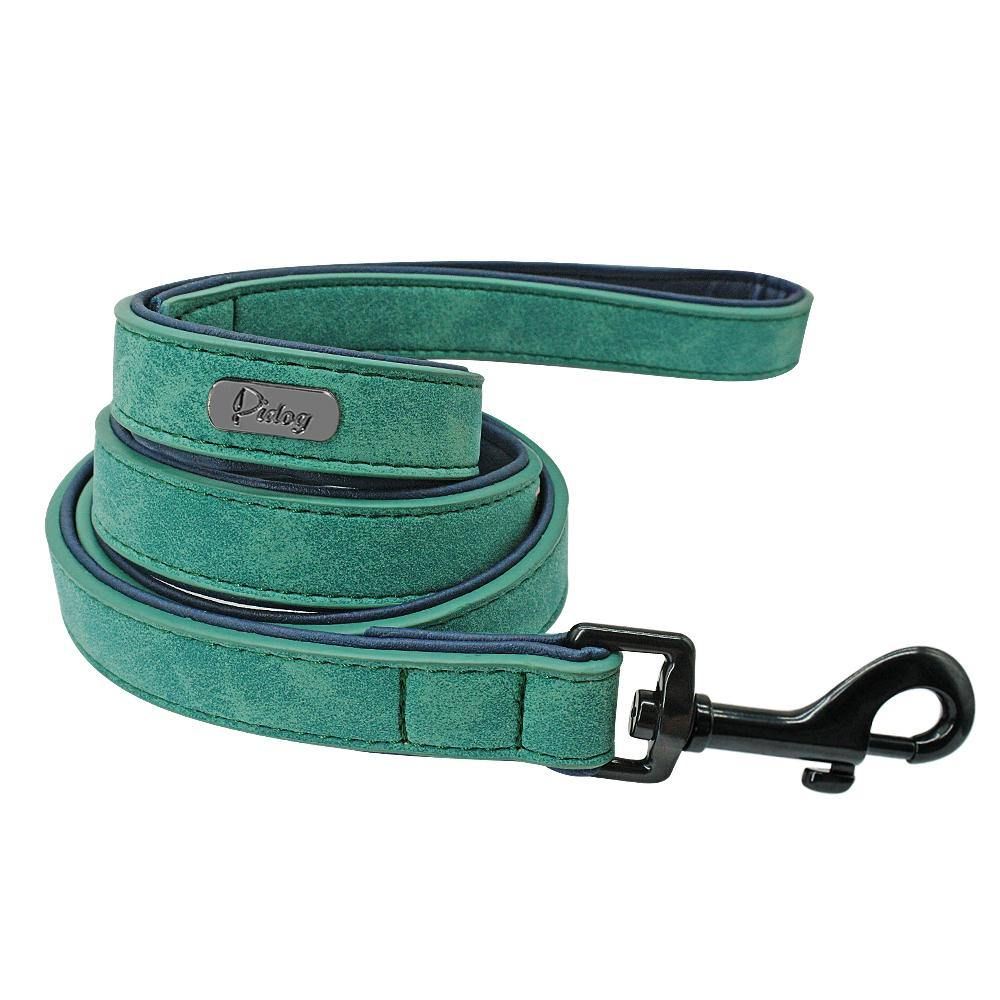 Personalized Pets Collar & Walking Leashes | Fashionsarah.com