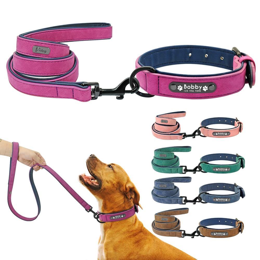 Personalized Pets Collar & Walking Leashes | Fashionsarah.com