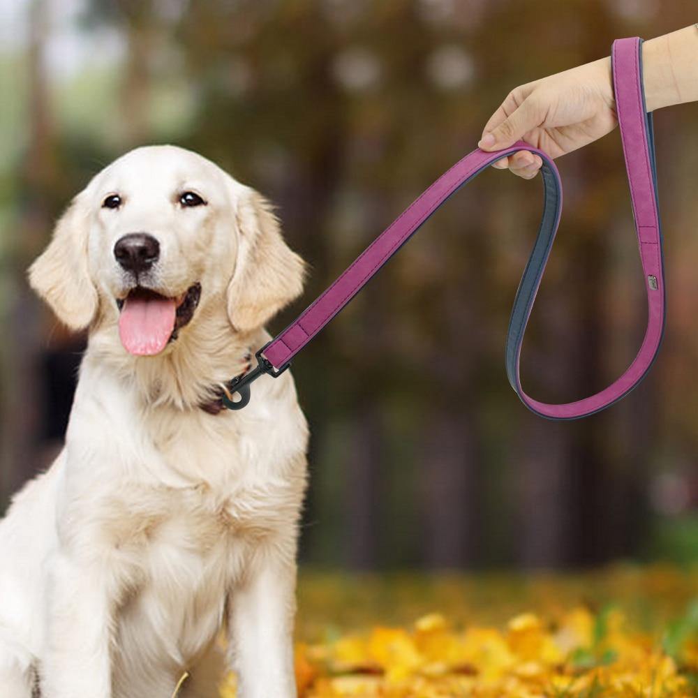 Personalized Pets Collar & Walking Leashes | Fashionsarah.com