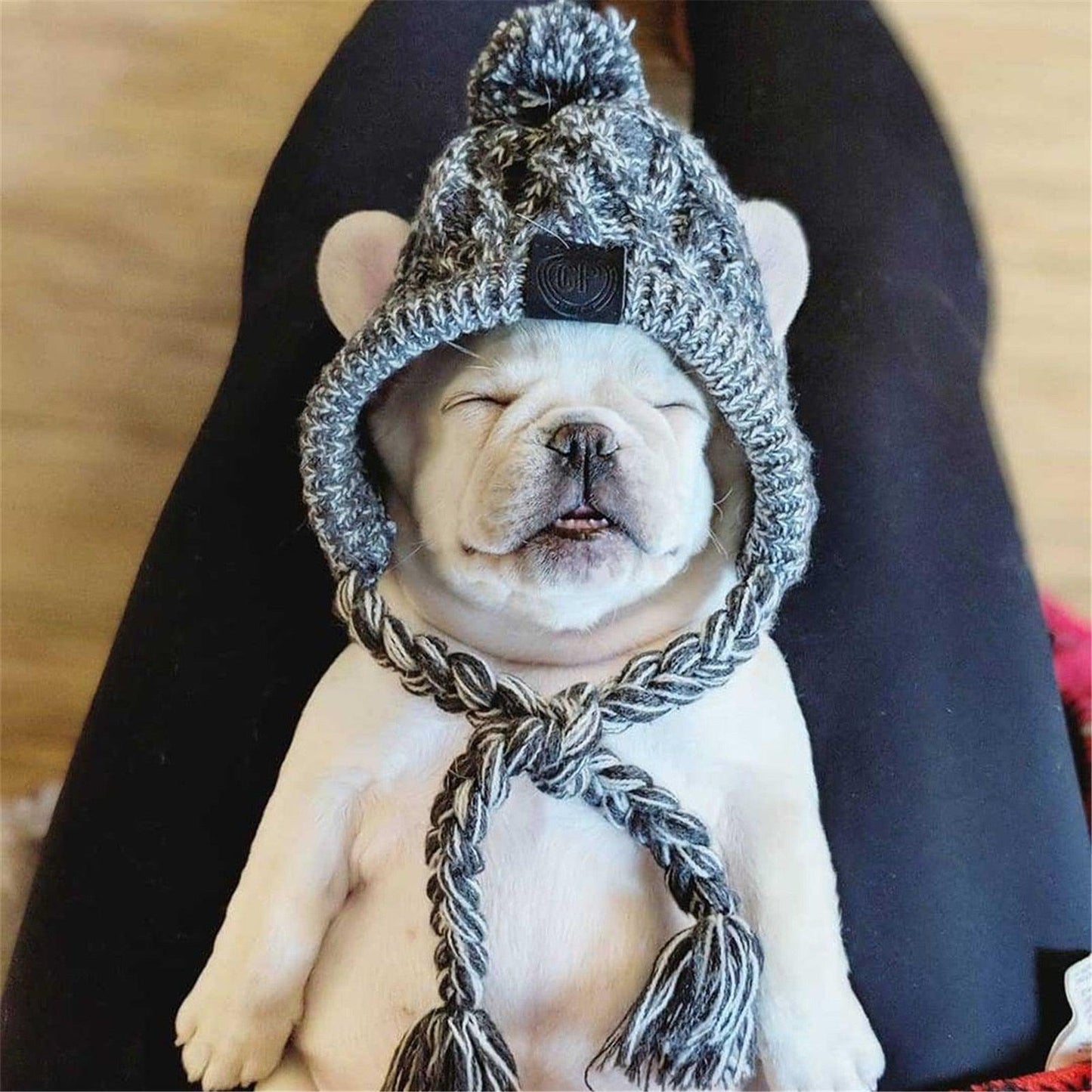 Winter Warm Dog Hats | Fashionsarah.com