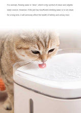 Load image into Gallery viewer, Xiaomi Smart Water Drinking Dispenser - Fashionsarah.com