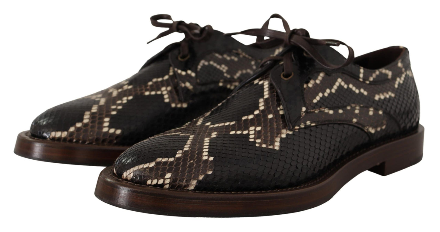 Dolce & Gabbana Brown Derby Exotic Leather Men Shoes | Fashionsarah.com