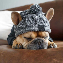 Load image into Gallery viewer, Winter Warm Dog Hats - Fashionsarah.com
