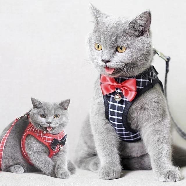 Fashionsarah.com Pet Bow Tie Outfit