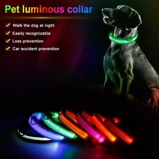 Luminous Safety Collars | Fashionsarah.com