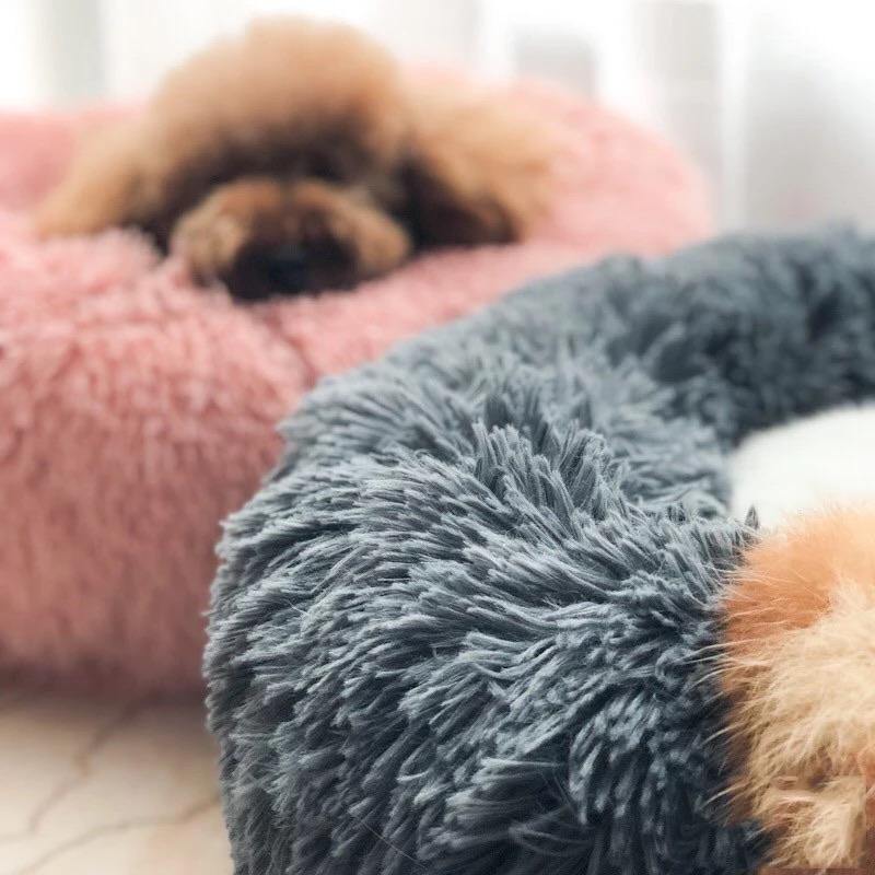 Soft Plush Beds | Fashionsarah.com