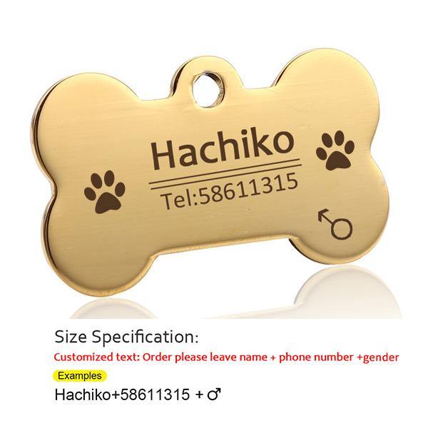 Personalized Pets Collar & Walking Leashes | Fashionsarah.com