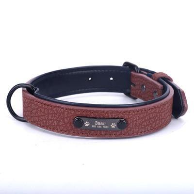 Personalized Pets Collar & Walking Leashes | Fashionsarah.com