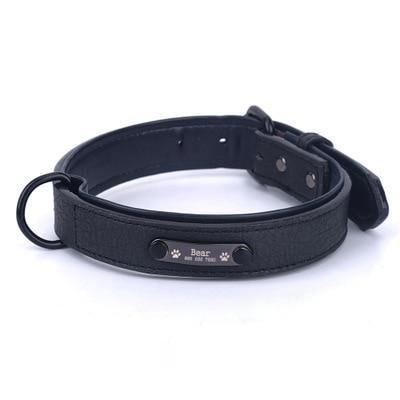 Personalized Pets Collar & Walking Leashes | Fashionsarah.com