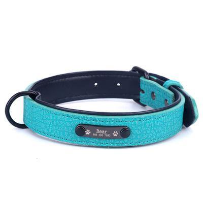 Personalized Pets Collar & Walking Leashes | Fashionsarah.com