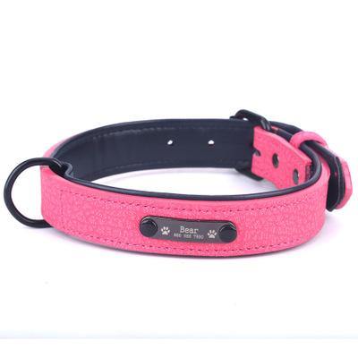 Personalized Pets Collar & Walking Leashes | Fashionsarah.com