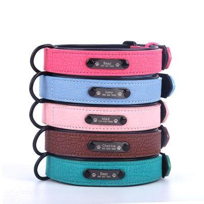 Personalized Pets Collar & Walking Leashes | Fashionsarah.com