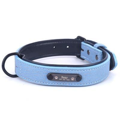 Personalized Pets Collar & Walking Leashes | Fashionsarah.com