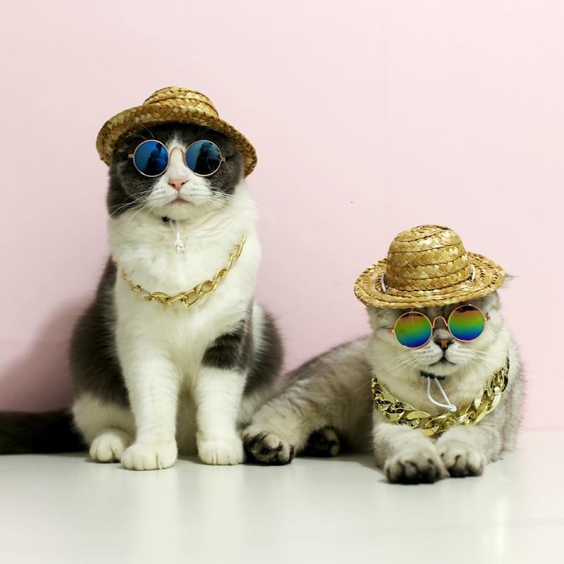 Pet Hat & Accessories | Fashionsarah.com