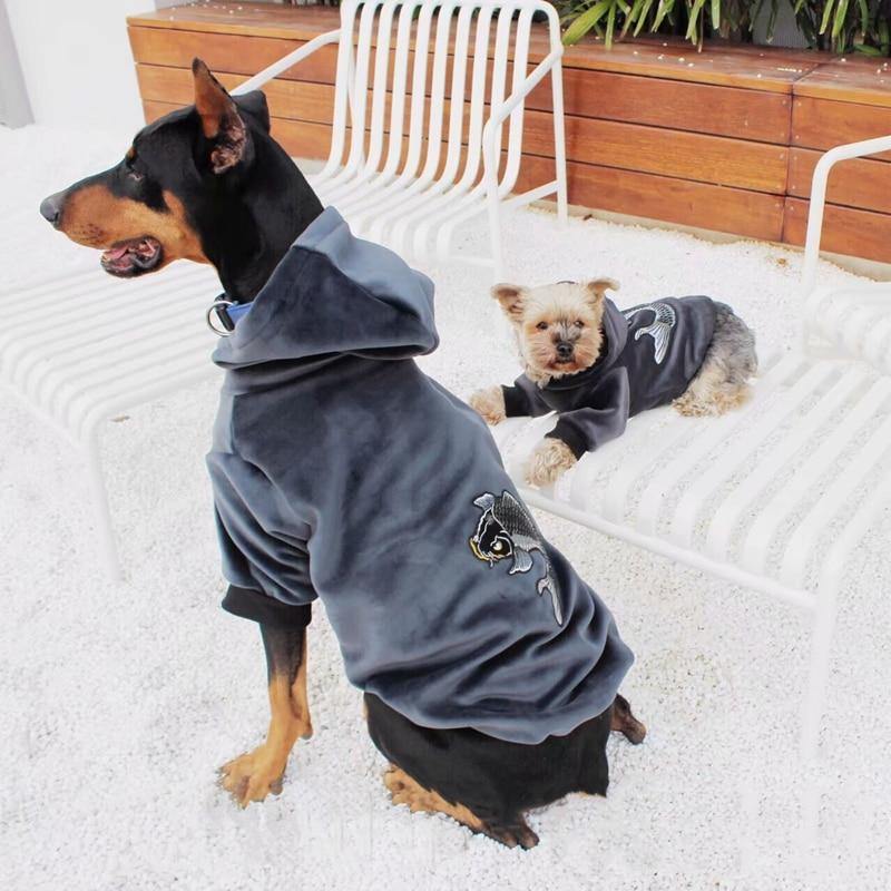 Matching Fashion with Pet Clothes | Fashionsarah.com