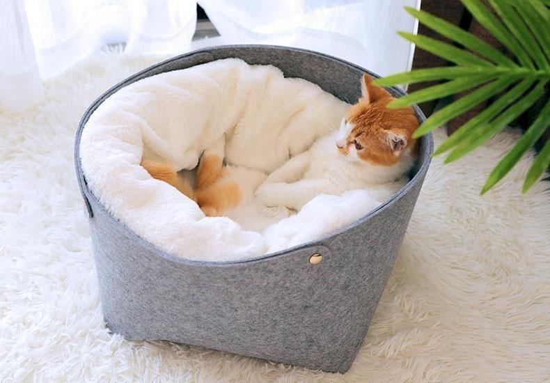 Fashionsarah.com Soft Comfortable Beds