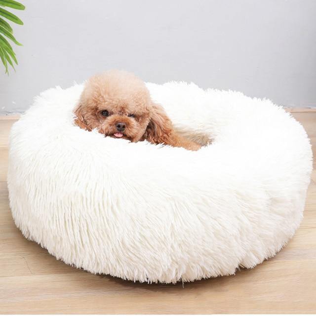 Soft Plush Beds | Fashionsarah.com