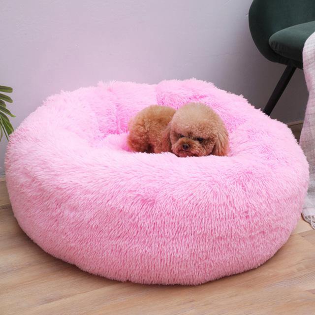 Soft Plush Beds | Fashionsarah.com