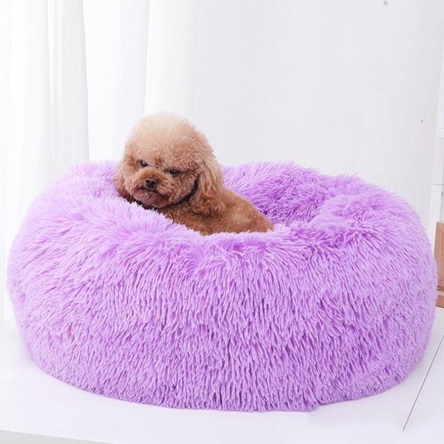 Soft Plush Beds | Fashionsarah.com