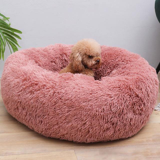 Soft Plush Beds | Fashionsarah.com