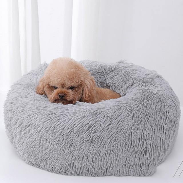 Soft Plush Beds | Fashionsarah.com