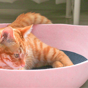 Lounge Bed Bowl Pot Pet - Fashionsarah.com